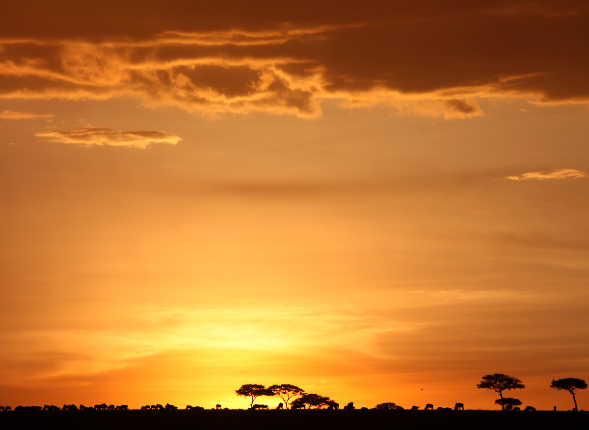 Serengeti sunset
