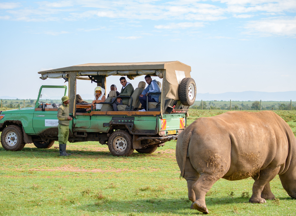 Northern White Experience