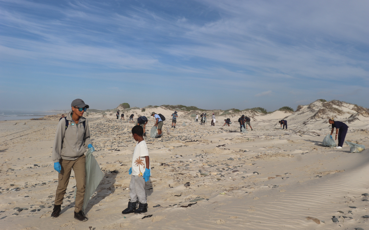De+Hoop+Nature+Reserve+beach+clean-up.png
