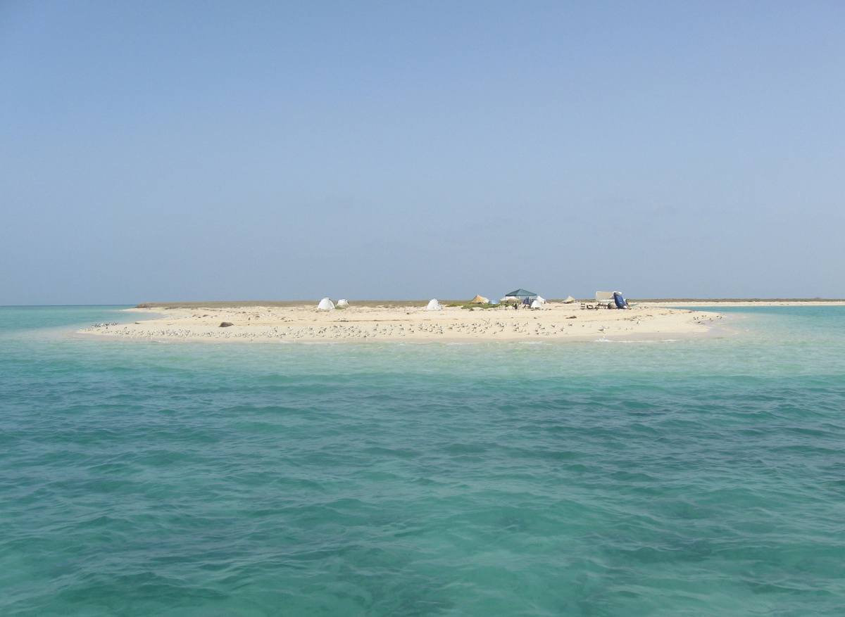 Dahlak island standard camp