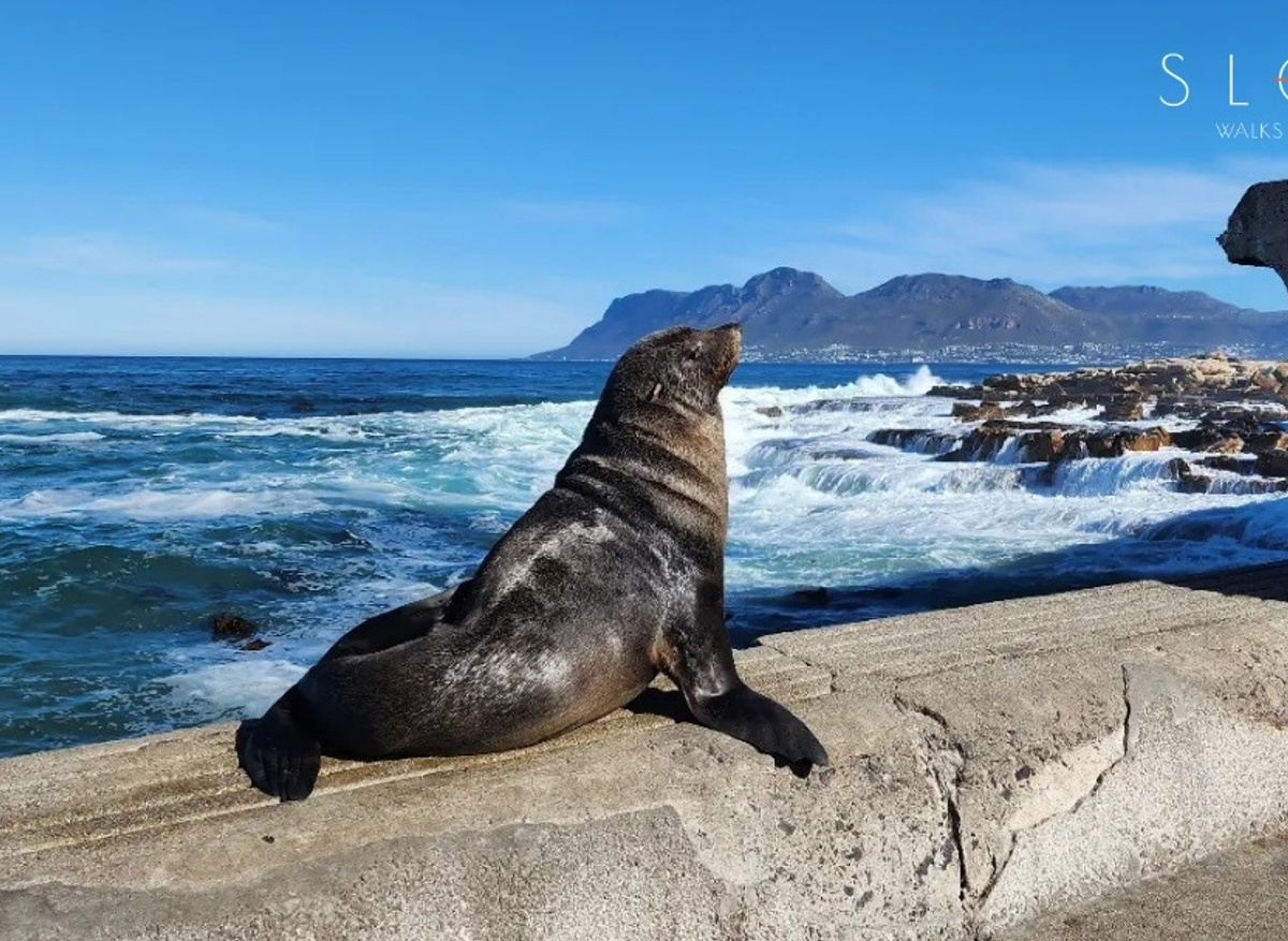 BEACHES & BOULDERS.jpg