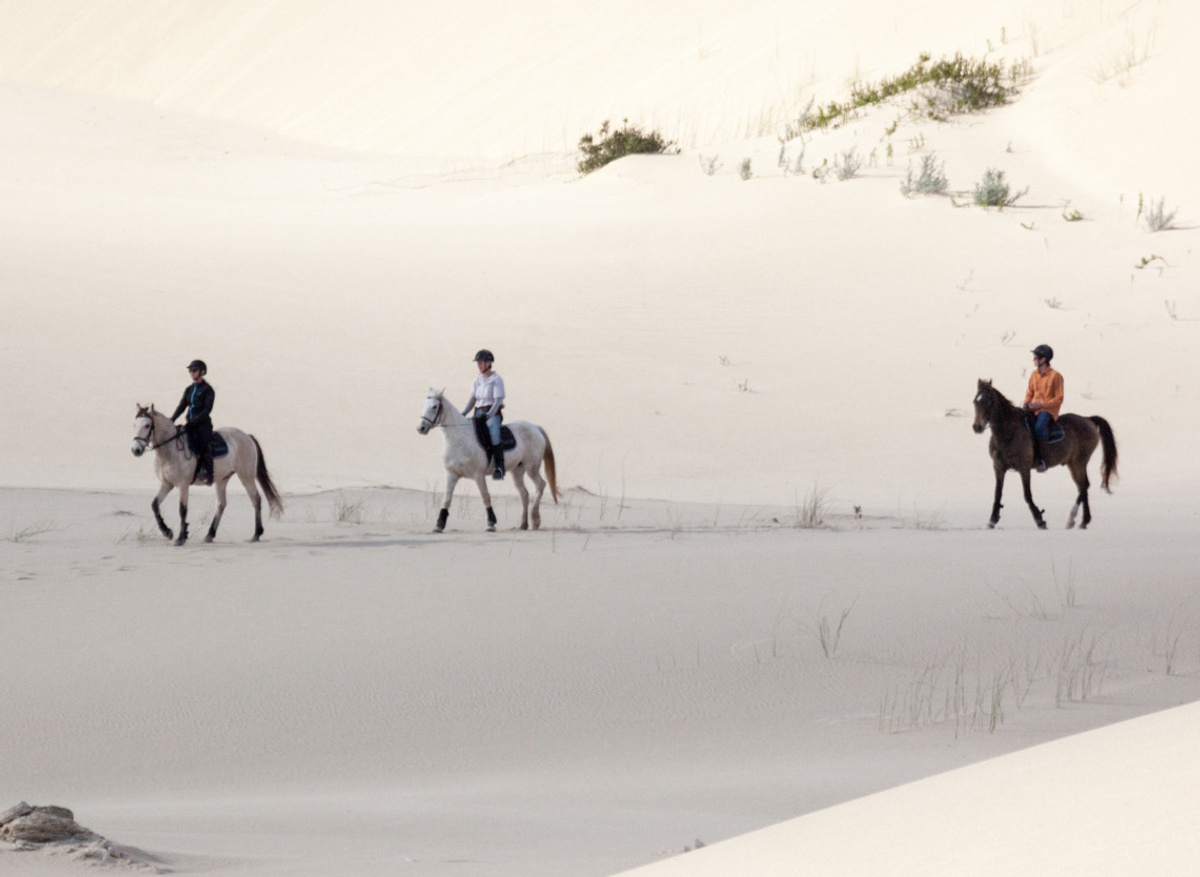 grootbos-experience-horse-riding-beach.jpg