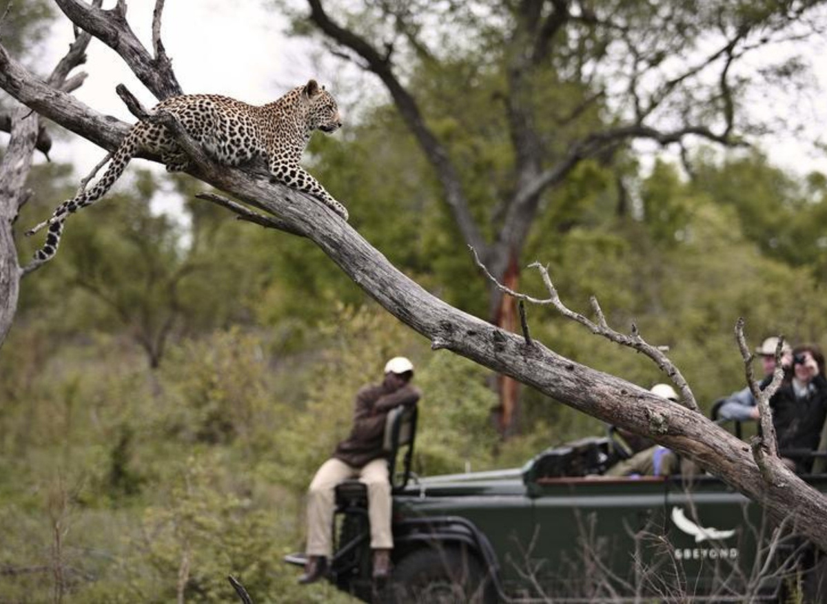 andBeyond Kirkmans Camp