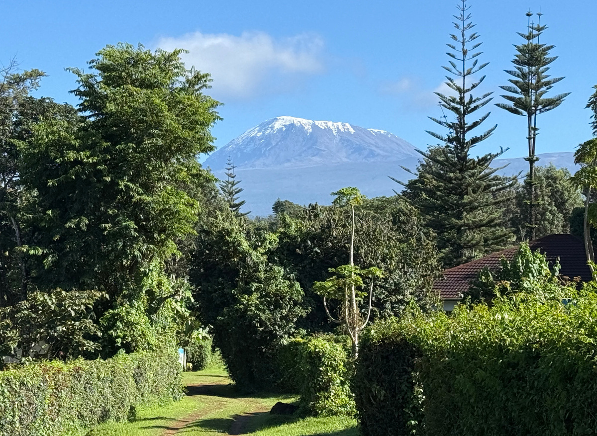 Kilimanjaro
