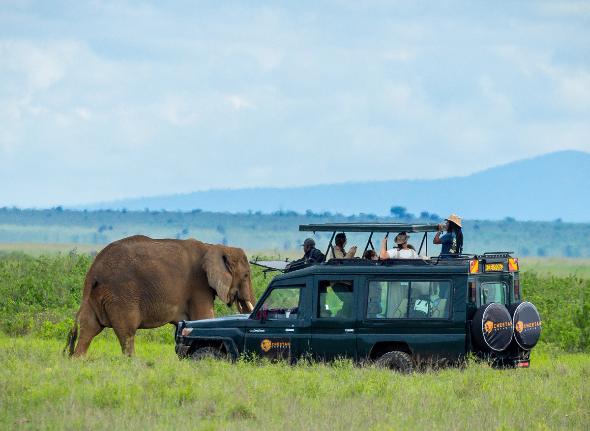 Cheetah Safaris guests in Amboseli