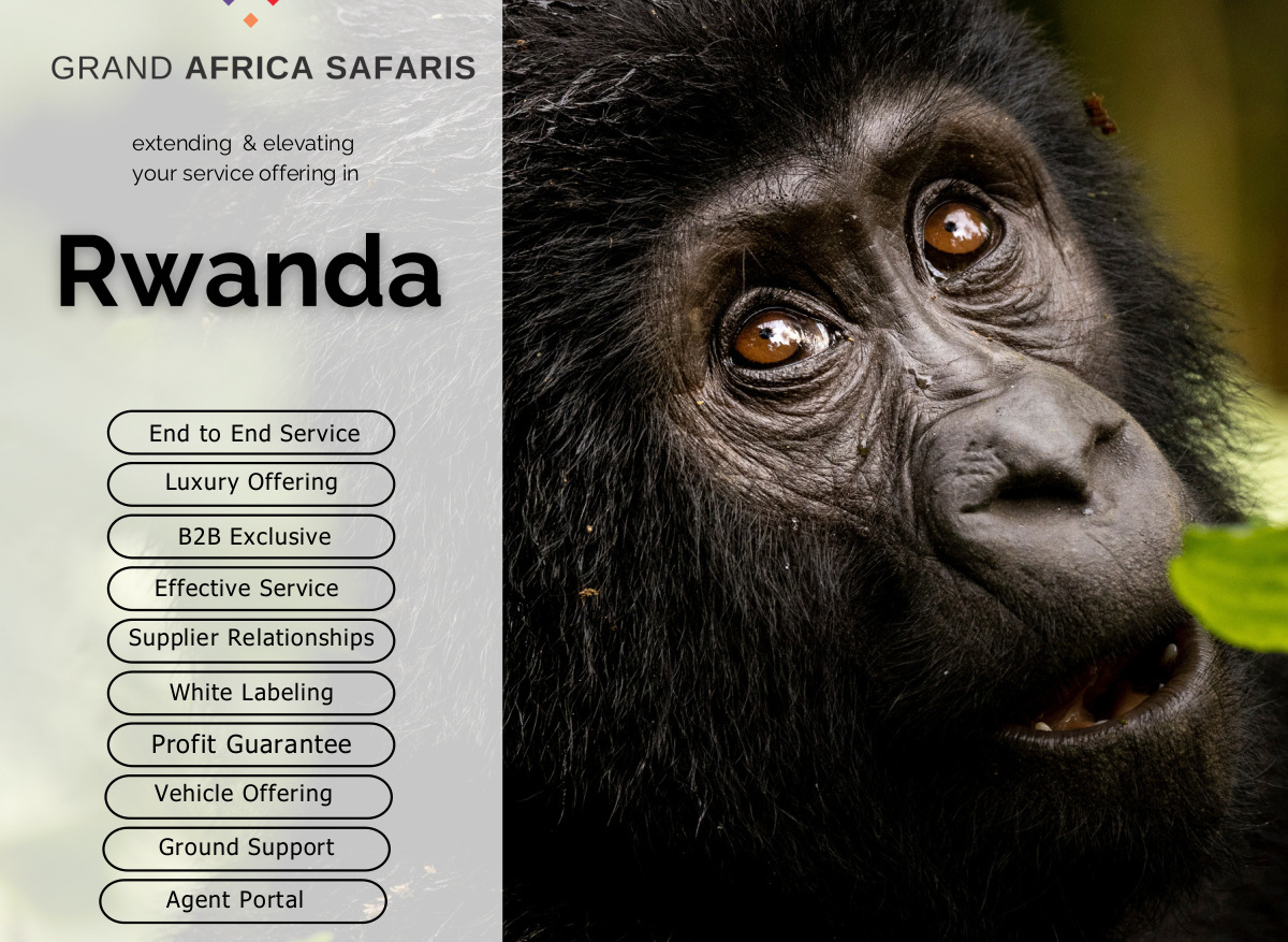 12E9A020-E4E5-4071-B3D1B6675C22BA35_14