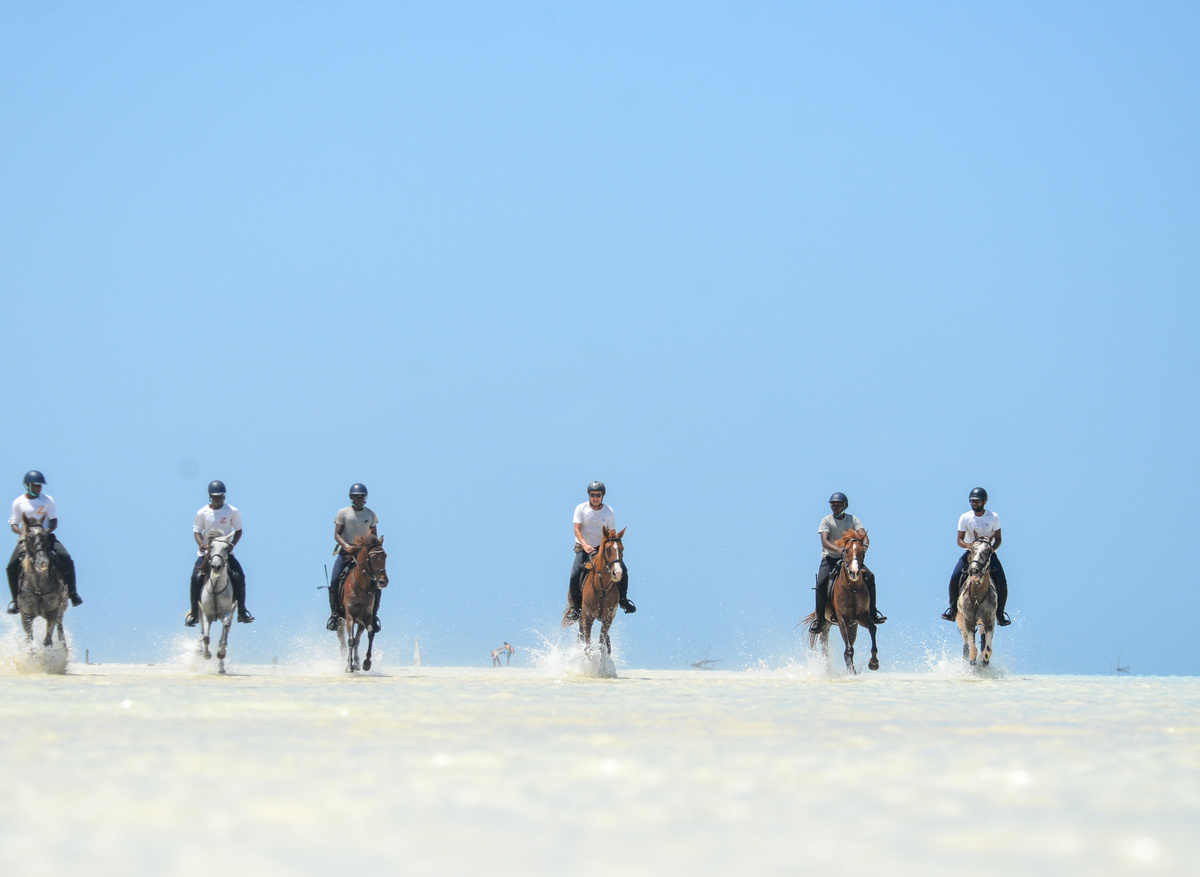 Zanzibar Horse Club