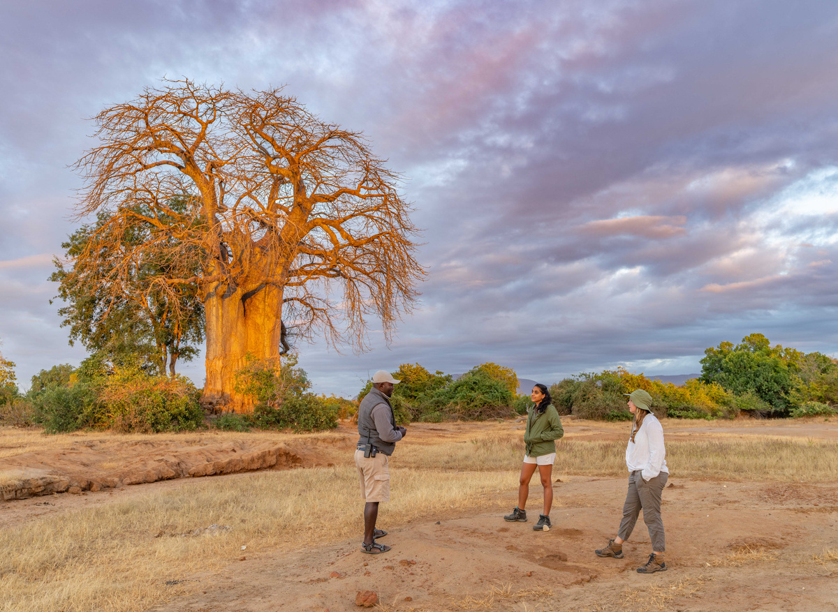 Walking Safari, Zambia.jpg