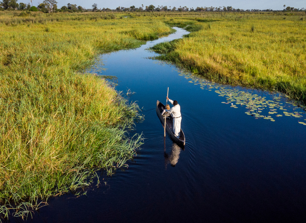 Discover Africa - Mokoro safari from Sanctuary Stanley's Camp, Botswana