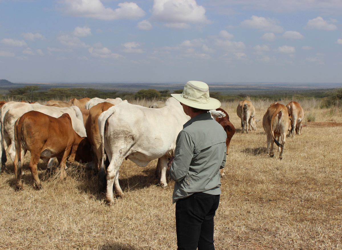 Farm Tours in Kenya 