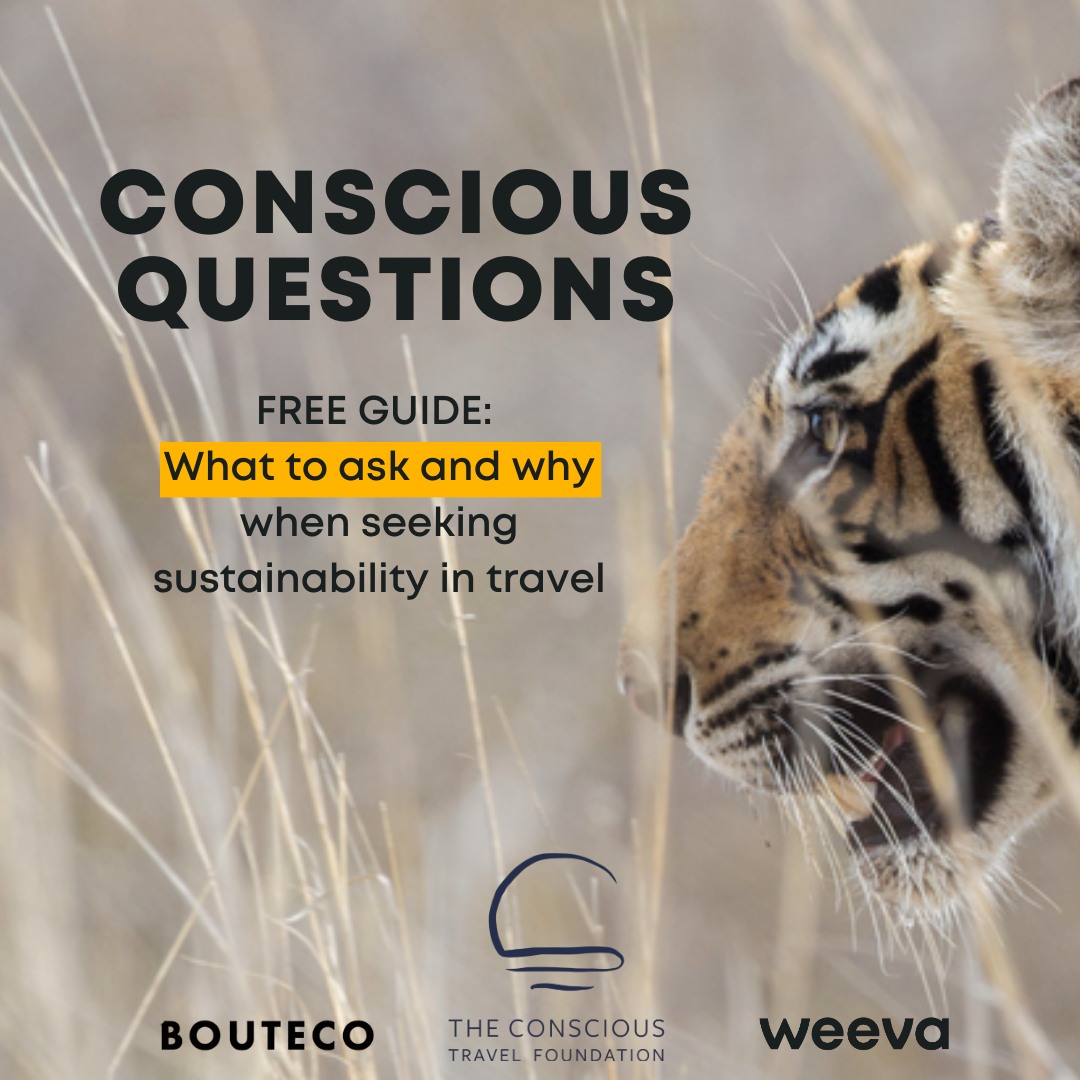 Conscious+Questions++-+Weeva.jpg