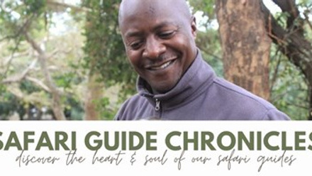 Safari Guide Chronicles.jpg