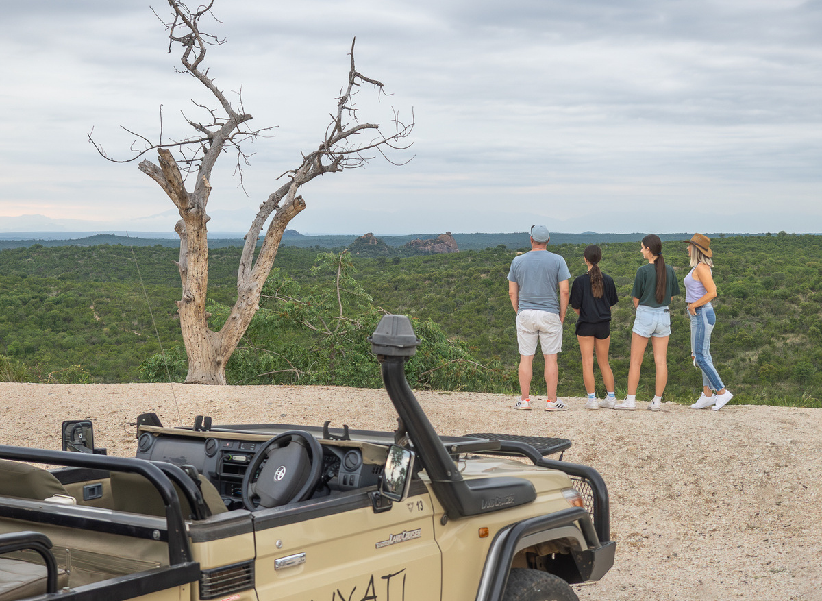 Lion KIng I MILIMA View.jpg