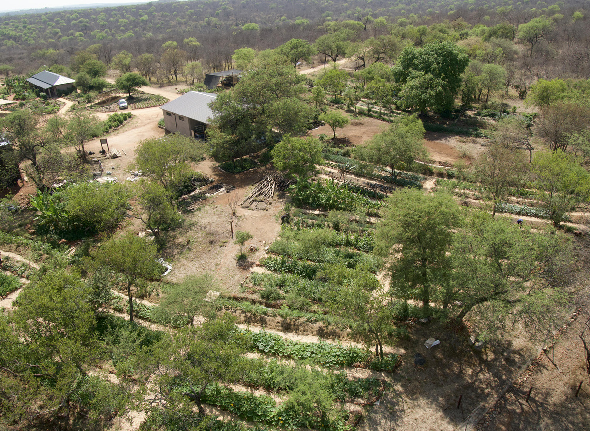 The Permaculture Garden.jpg