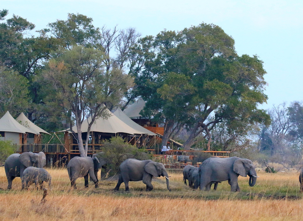 Tuludi, Okavango 