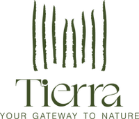 Tierra Full Logo Green.png