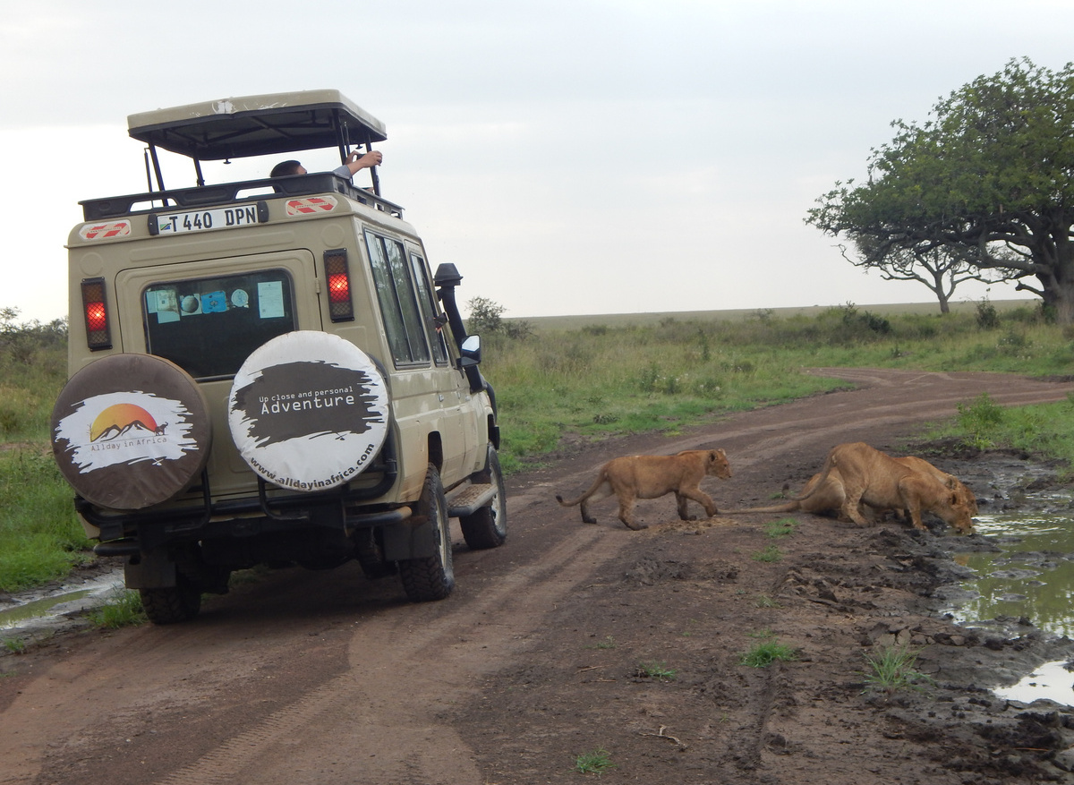 Can you stop for a picture?.JPG