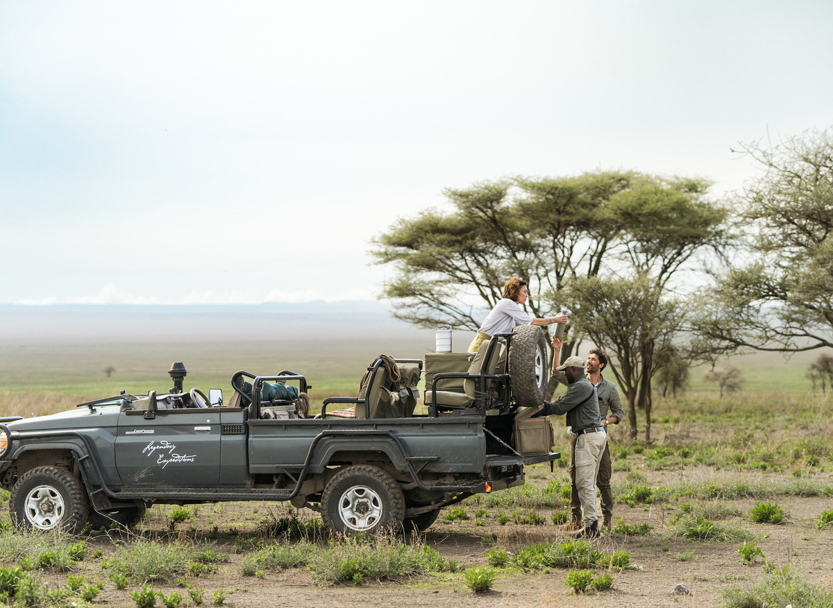 Nyasi Migrational Camp - game drive and picnic lunch.jpeg