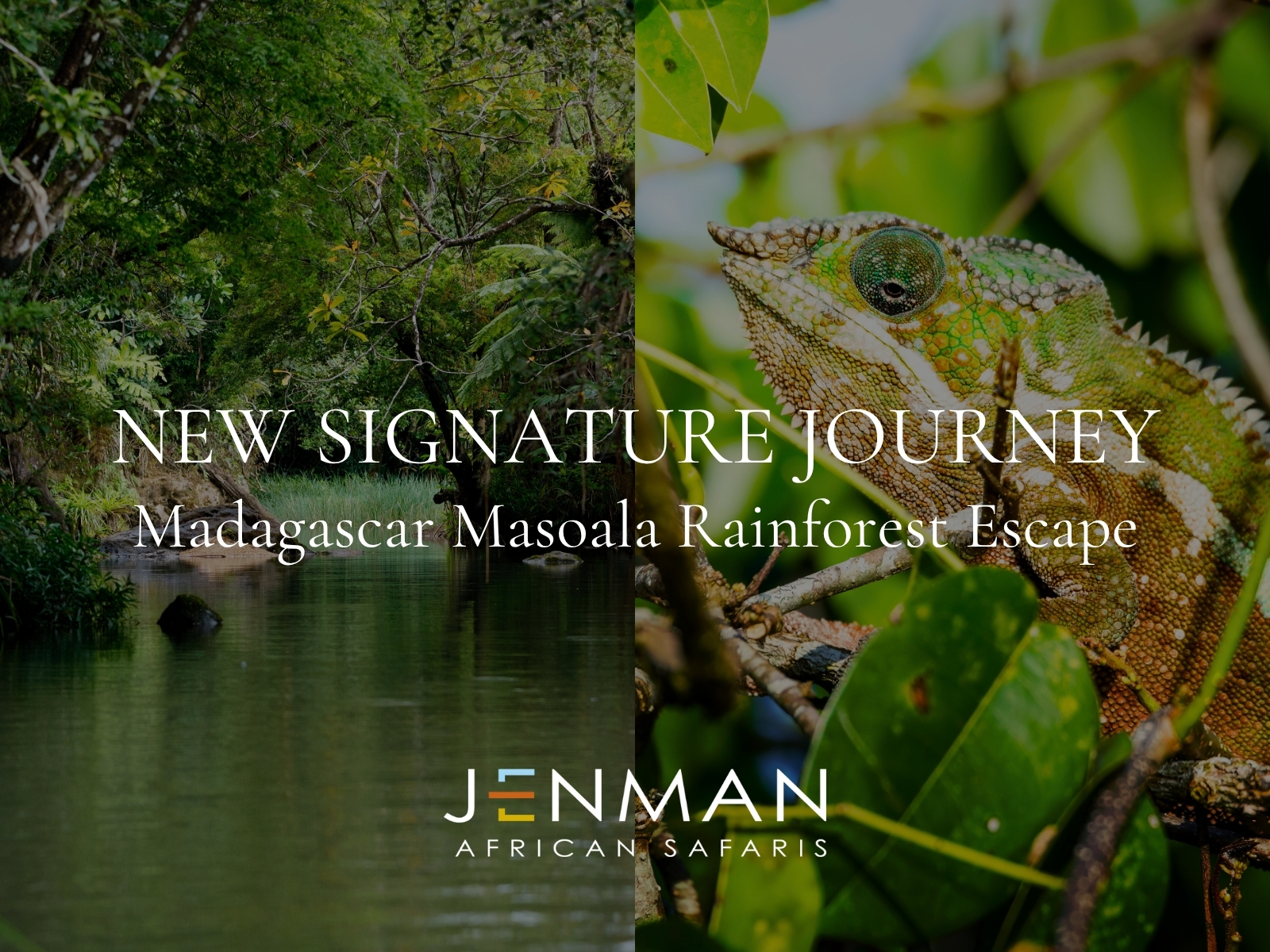 Jenman+African+Safaris+New+Madagascar+Masoala+Rainforest+Escape+Signature+Journey.jpg