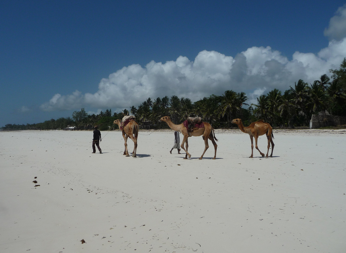 F316F15C-81B0-4ED8-B034377B4E019E62_4