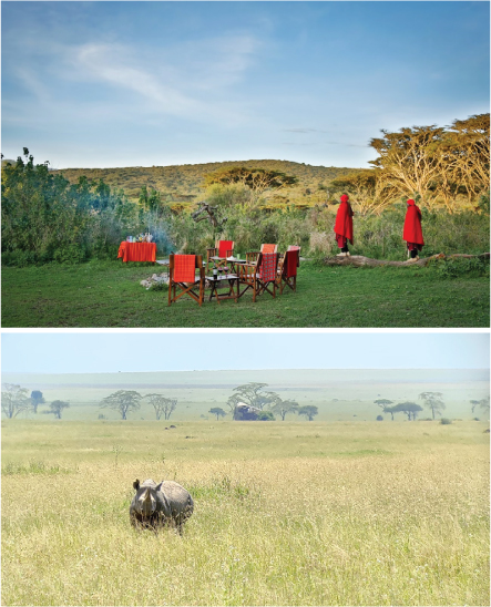 Ngorongoro-Rhino.jpg