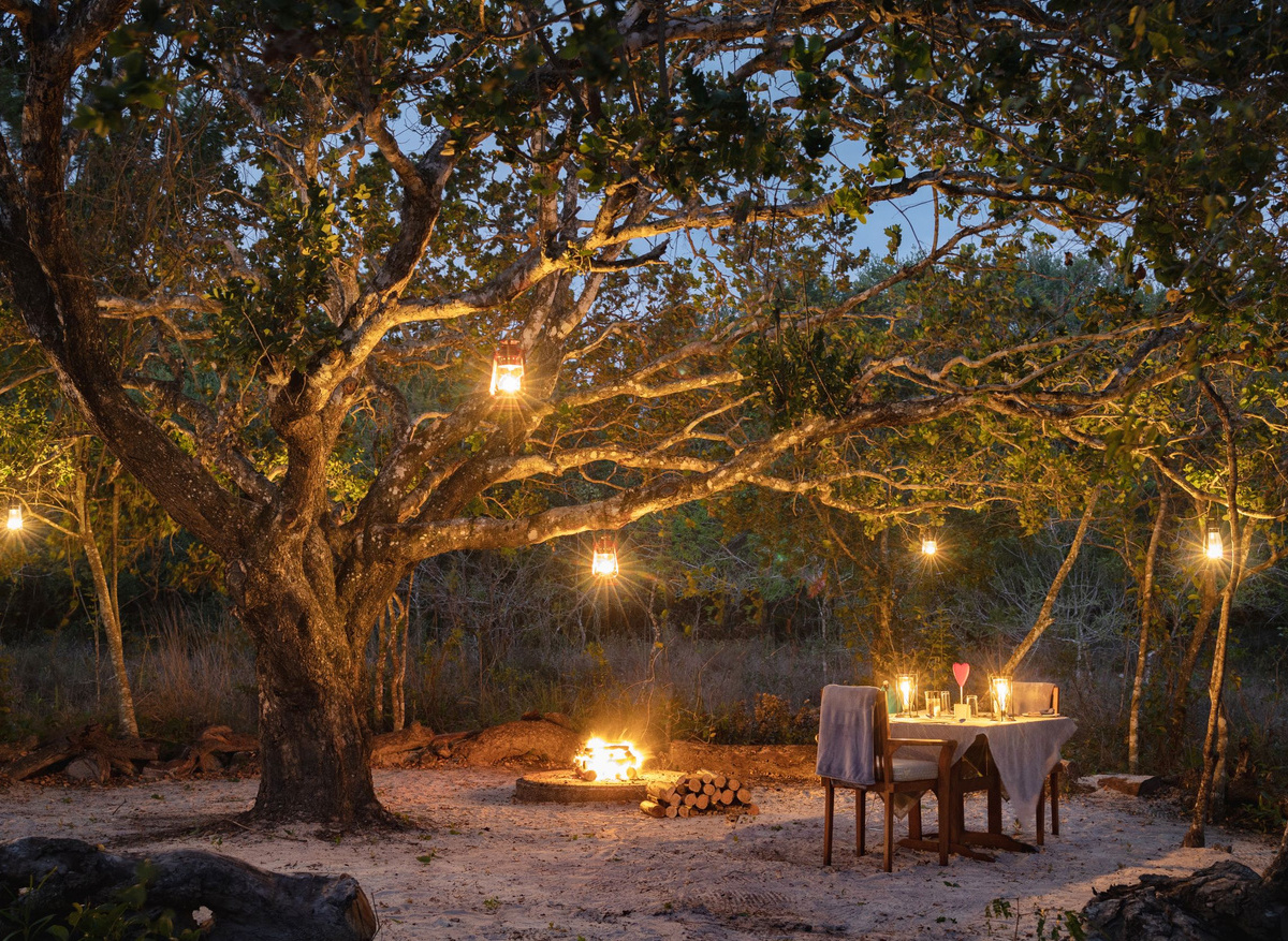 Kosi Forest Lodge - Forest Dinner