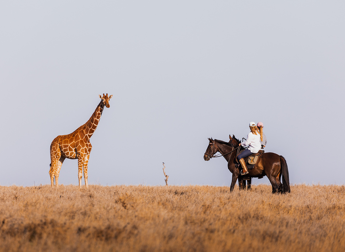 Horse riding, with giraffe.jpg