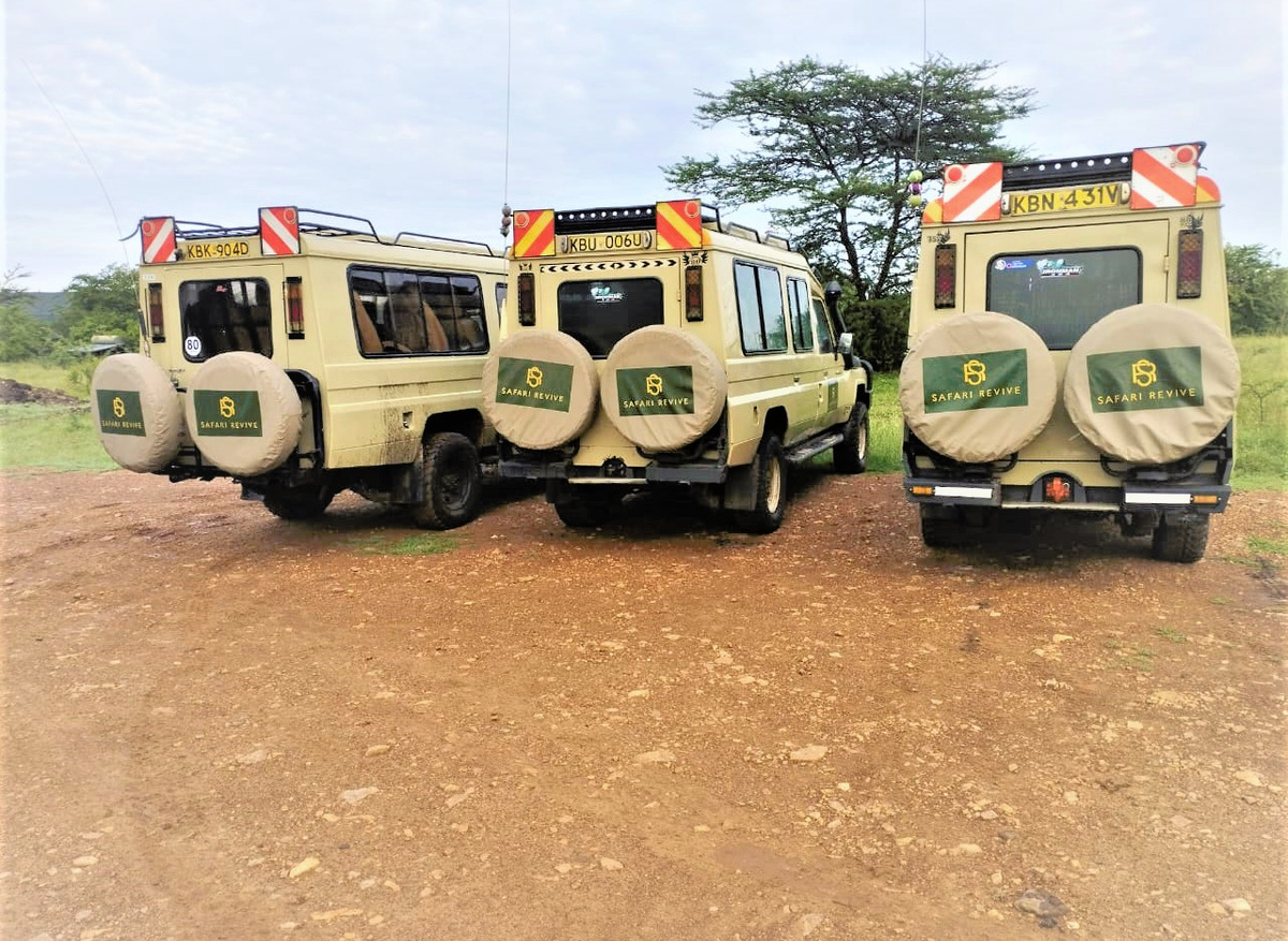Safari Revive Vehicles