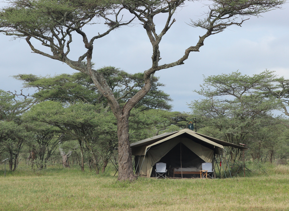 Ndutu Wilderness Camp - Guest tent 