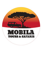MOBILA LOGO 1_page-0001.jpg
