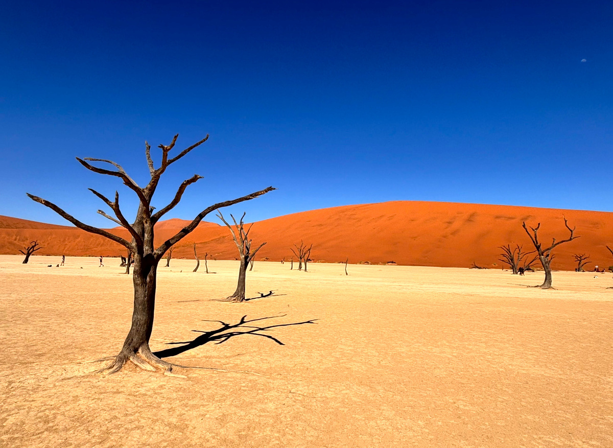 Dead Vlei
