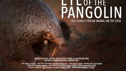 Eye of the Pangolin_film poster_landscape.jpg