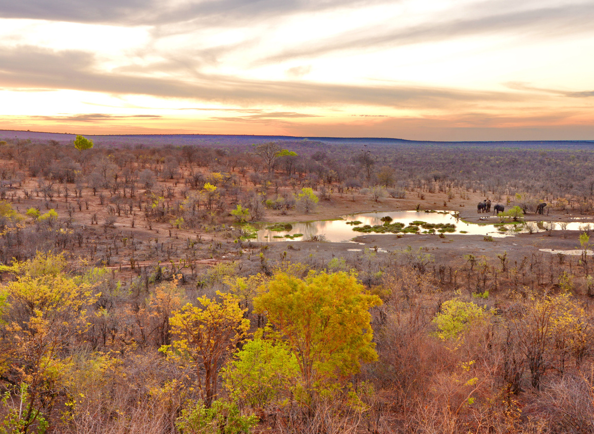 Waterhole at Victoria Falls Safari Lodge.JPG