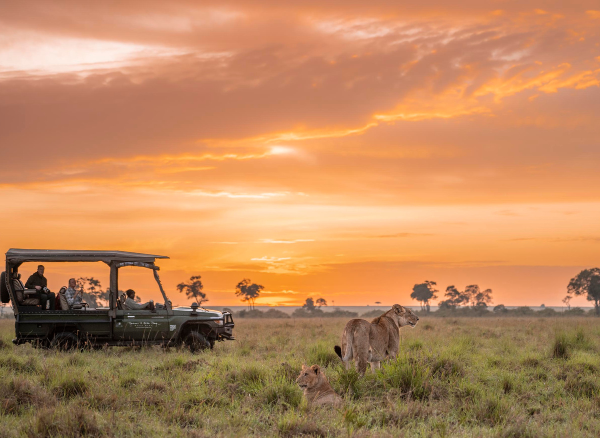 Game drive