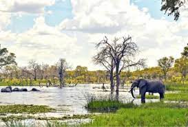 Botswana, A Pioneer In Sustainable Tourism And A Reference In Africa News.jpg