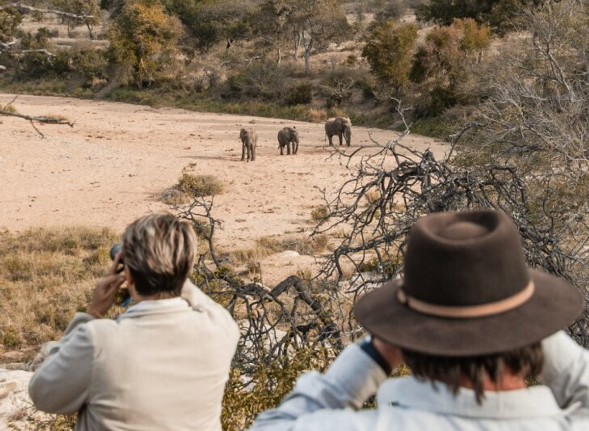 Viewing elephants.jpg