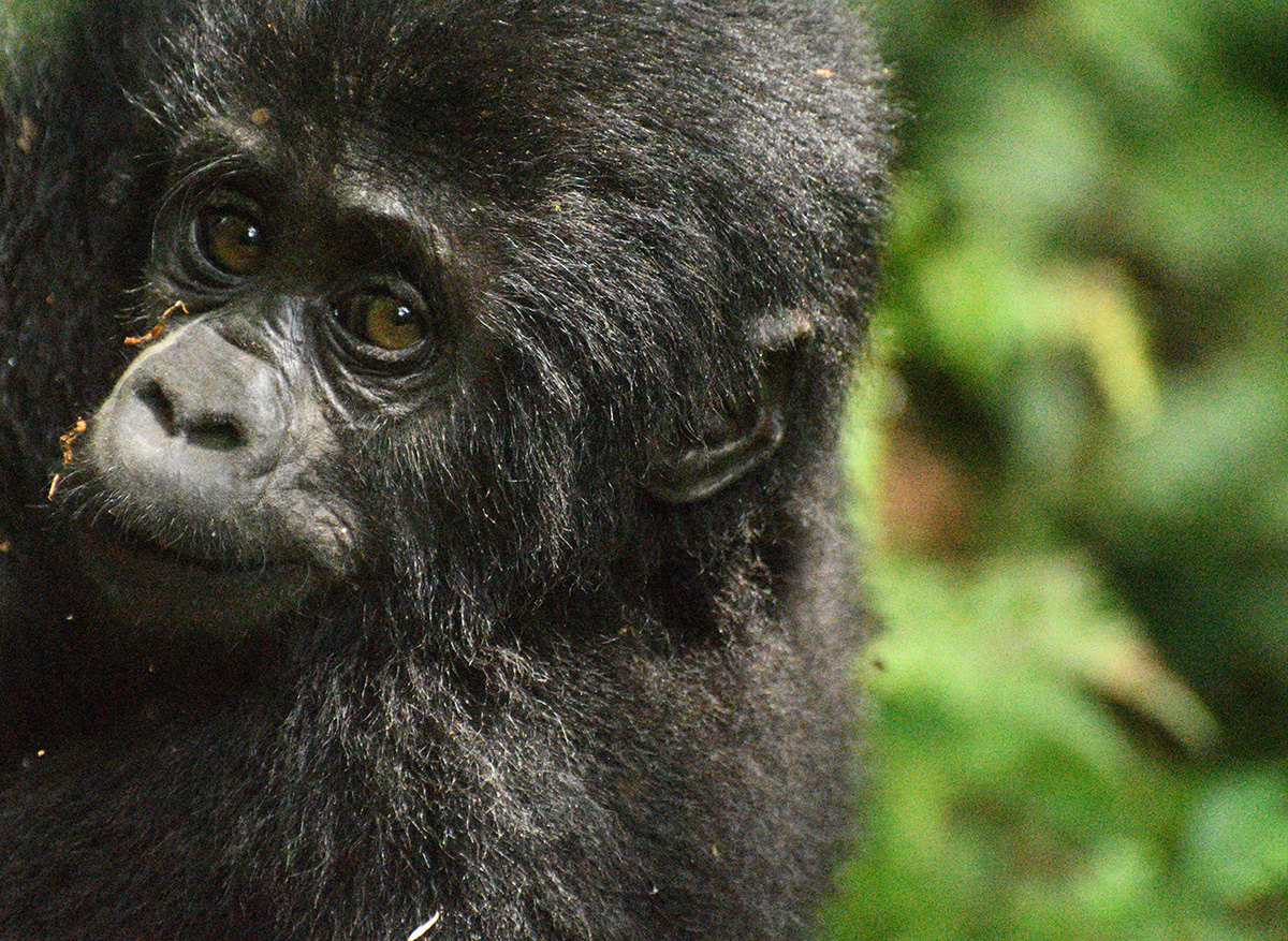 0E35562E-8193-4D1C-889635A95958CAD5_20