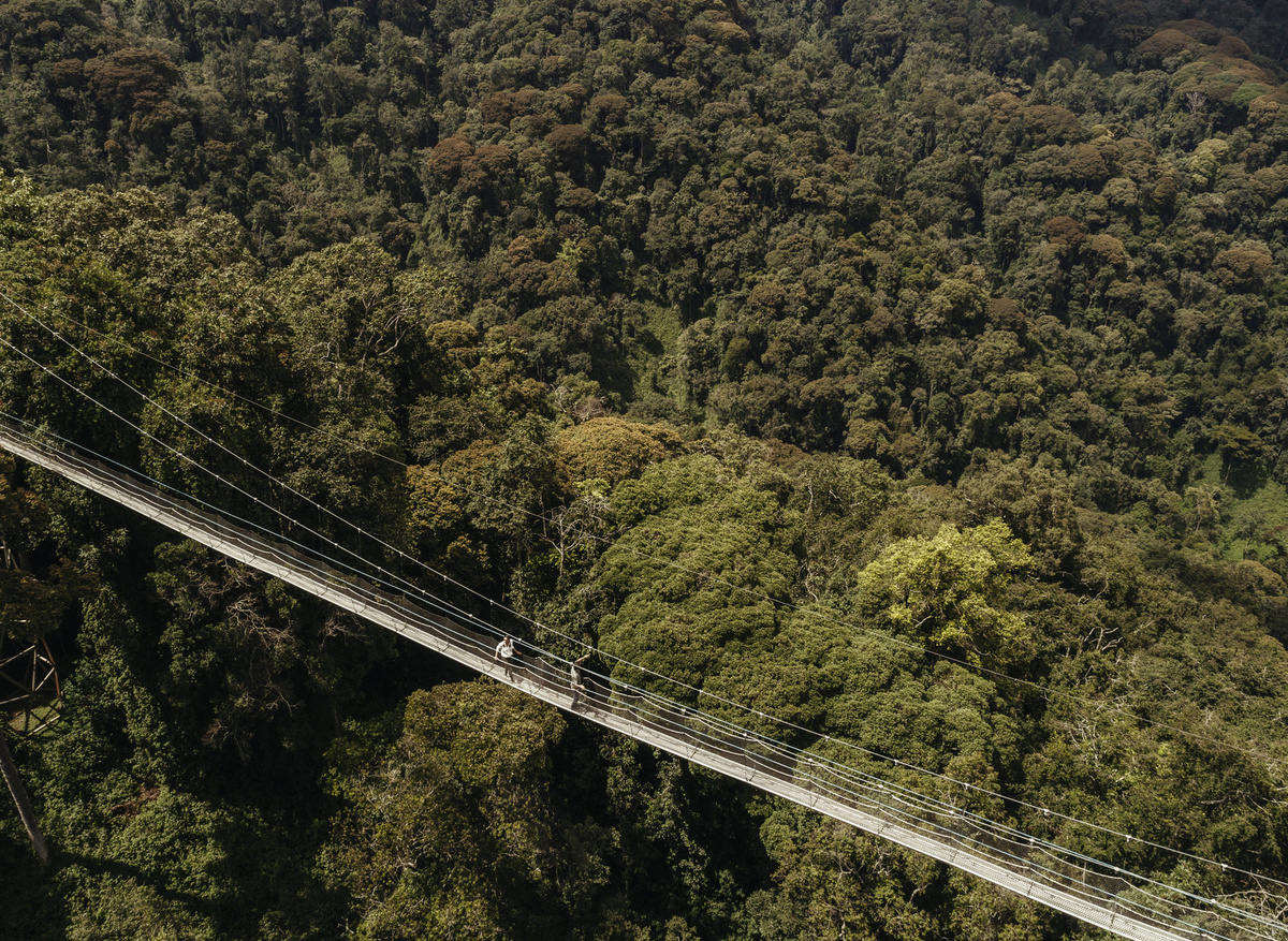 Nyungwe Canopy