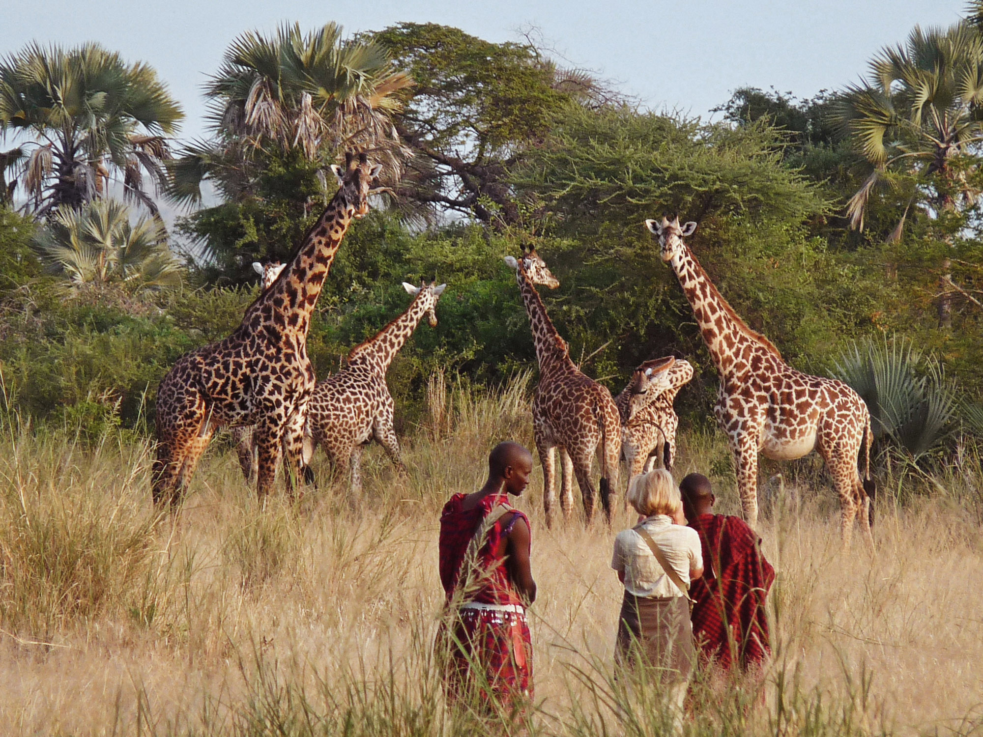 Chem-Chem-Lodge-Slow-Safari-Tanzania-East-Africa-Bush-Walk-Giraffe-Maasai.jpg