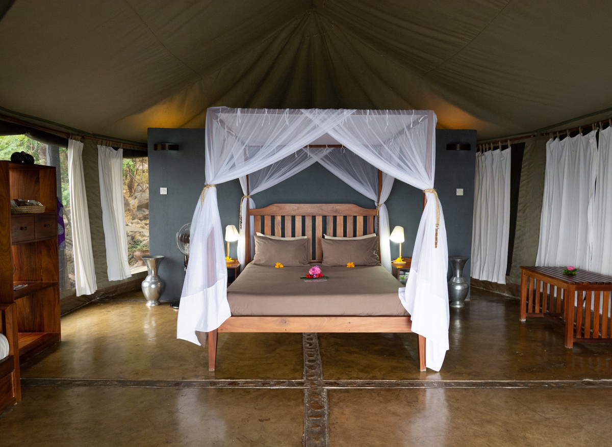 Cormorant Executive Chalet by Gemma Thomas