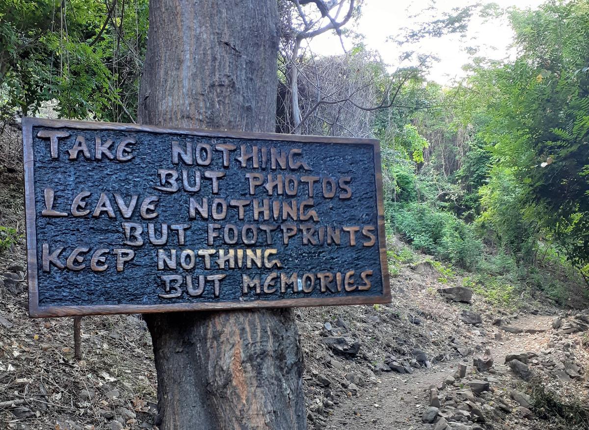 Nature Trail - Blue Zebra