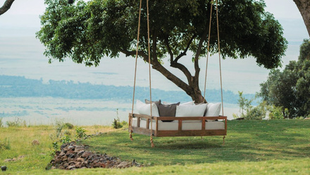 Garden Swing  (1).jpg 1