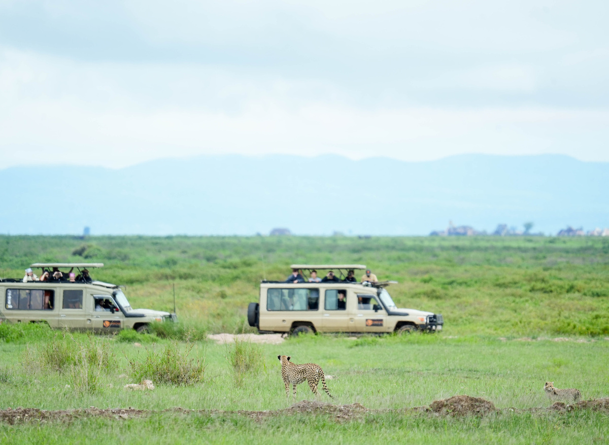 Cheetah Safaris guests in Amboseli