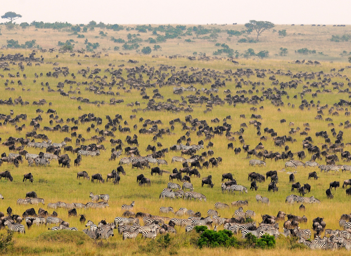 Tipilikwani Mara Camp