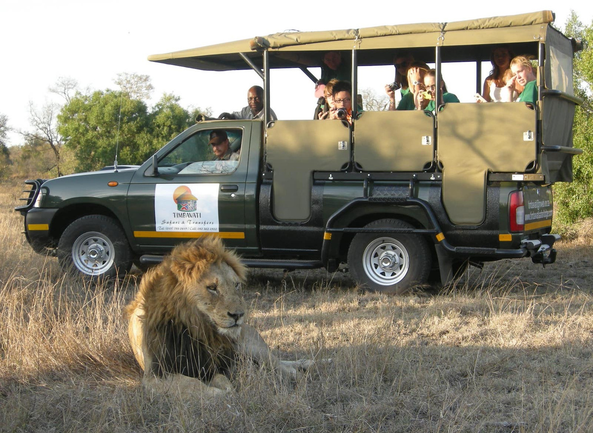 timbavati-game-drive.jpg