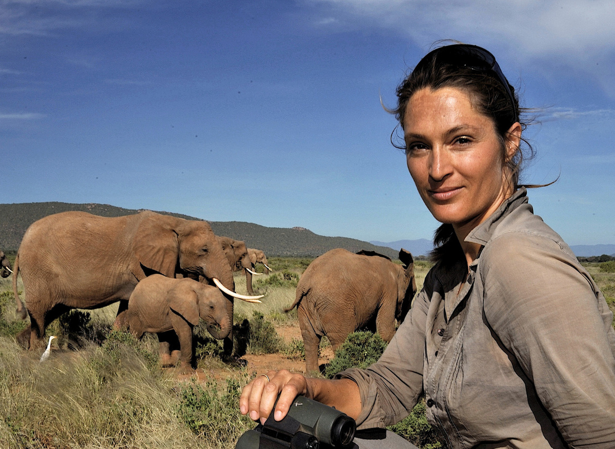 ID ELEPHANTS