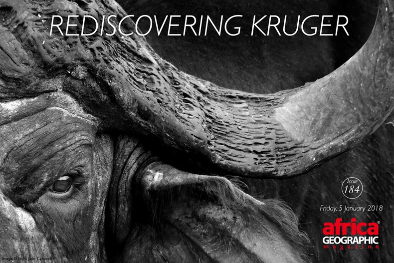 Rediscovering-Kruger_v2.jpg