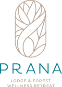 PRANA-13227-New Logo Final-CMYK.png