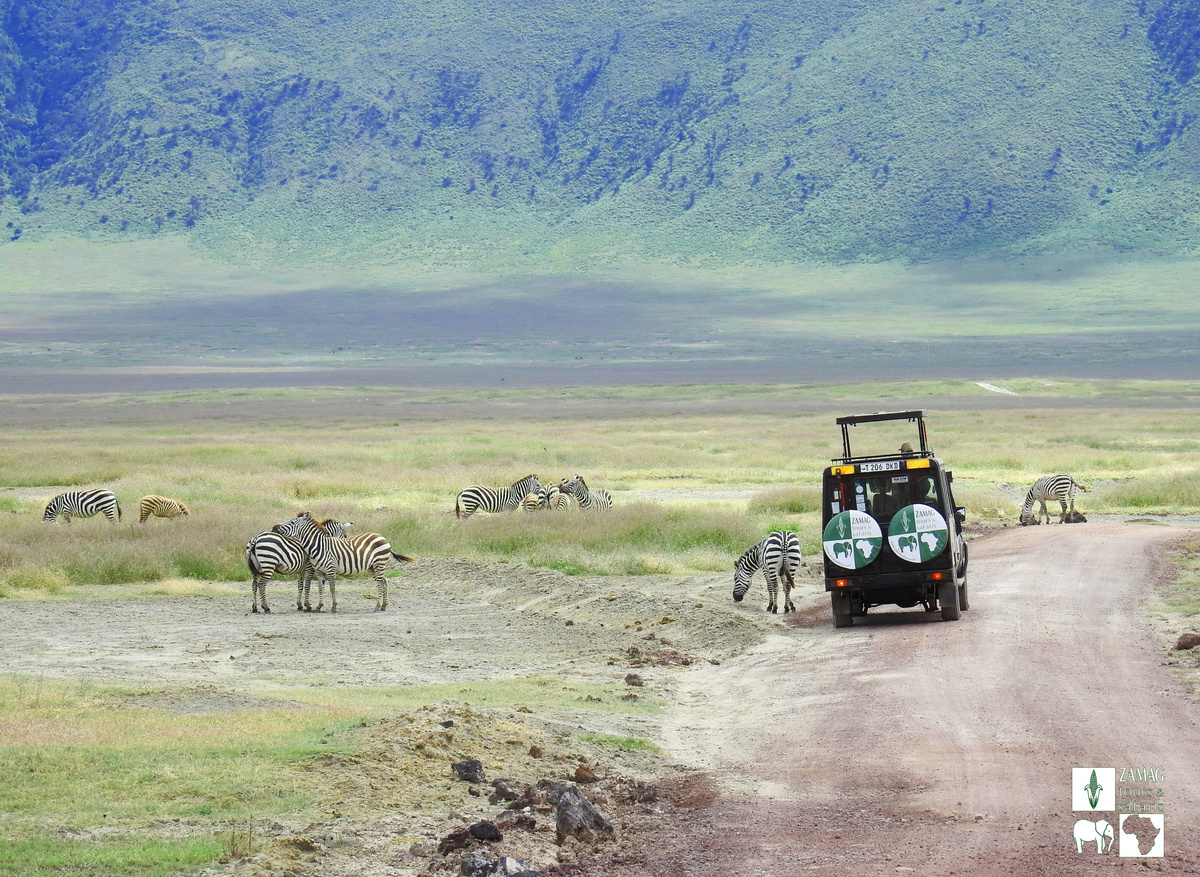 Zamag Safaris - Ngorongoro Crater.jpg