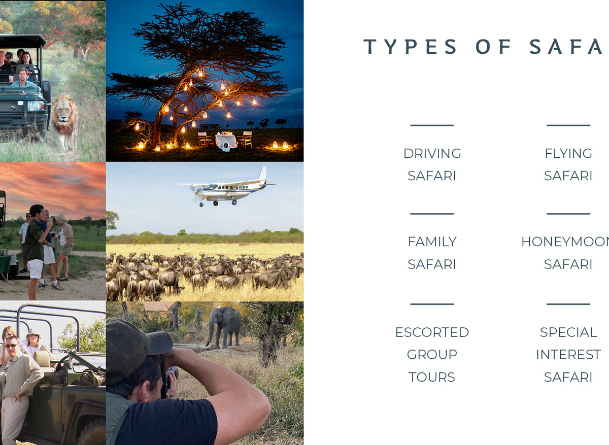 Types of Safari